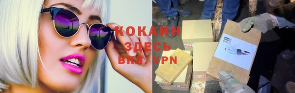 хмурый Абаза