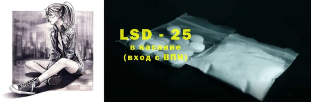хмурый Абаза