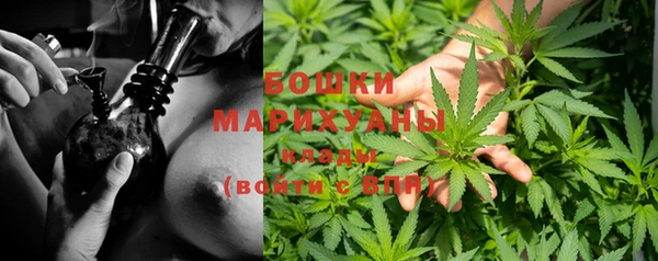 стафф Ладушкин