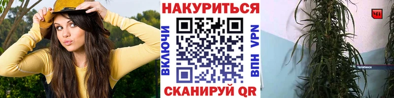 мега зеркало  Суздаль  Конопля семена  сколько стоит 